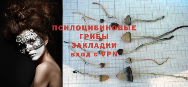 мдпв Коряжма