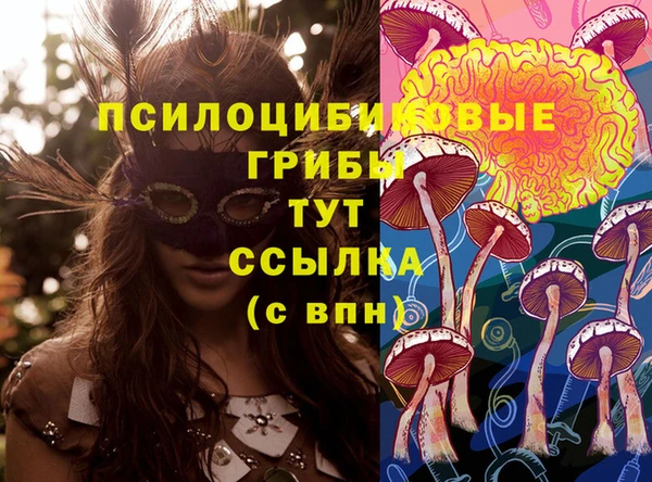 мдпв Коряжма